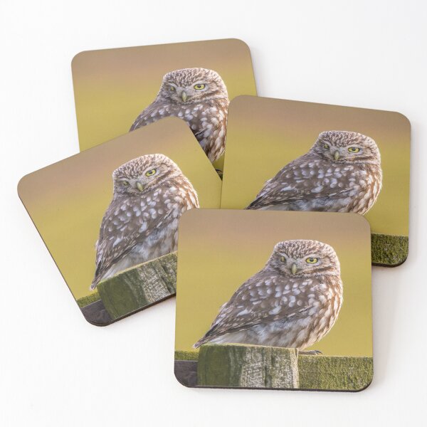 Item preview, Little Owl designed and sold by Rosscoe1985.
