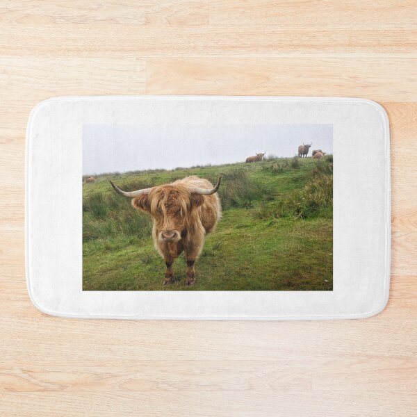 Item preview, Highlands cows on Islay, Scotland designed and sold by Richard Flint.