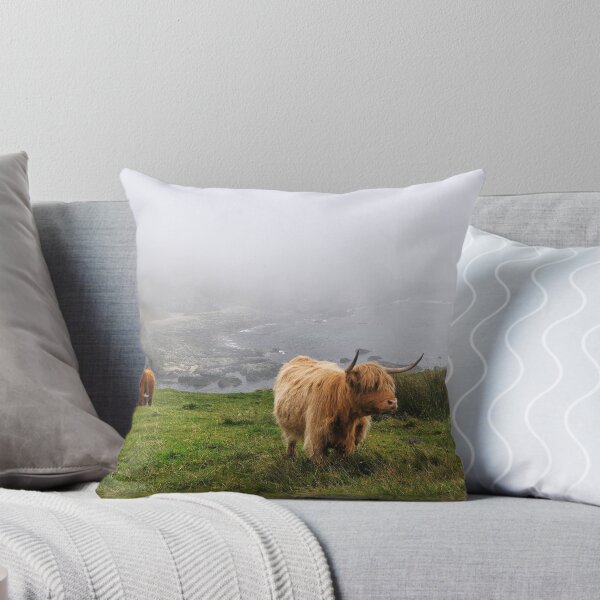 Item preview, Highland cows on the misty coast of Islay, Scotland designed and sold by Richard Flint.