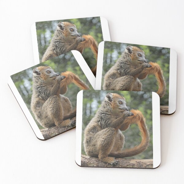 Item preview, Crowned Lemur designed and sold by aquabella.