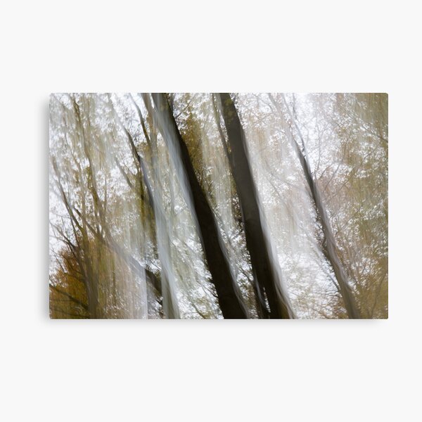 Autumn light curtain Metal Print