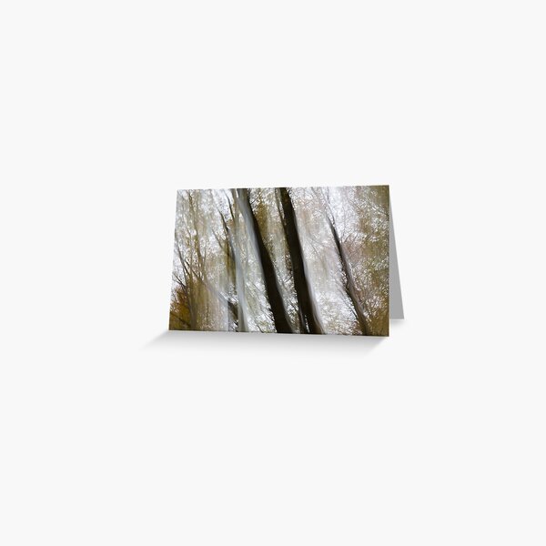 Autumn light curtain Greeting Card