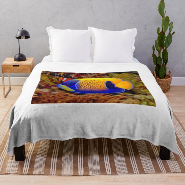 Item preview, Blue-girdled Angelfish, Pomacanthus navarchus… designed and sold by AnnDixon.