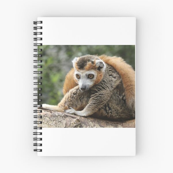 Item preview, Crowned Lemur designed and sold by aquabella.