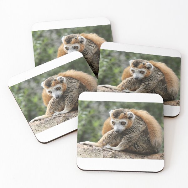 Item preview, Crowned Lemur designed and sold by aquabella.