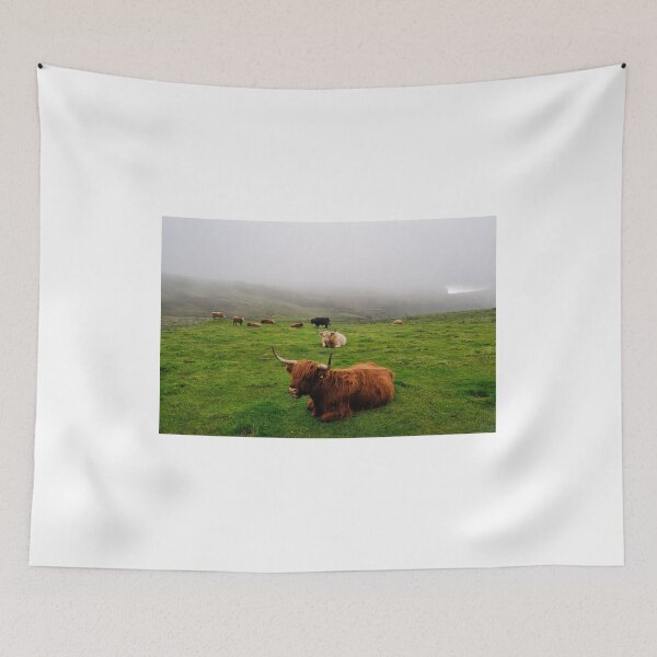 Item preview, Highland cattle on the misty coast of Islay, Scotland designed and sold by Richard Flint.