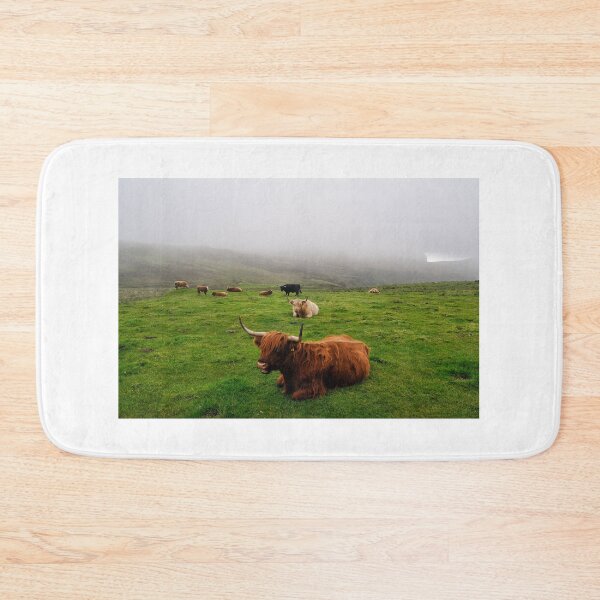 Item preview, Highland cattle on the misty coast of Islay, Scotland designed and sold by Richard Flint.