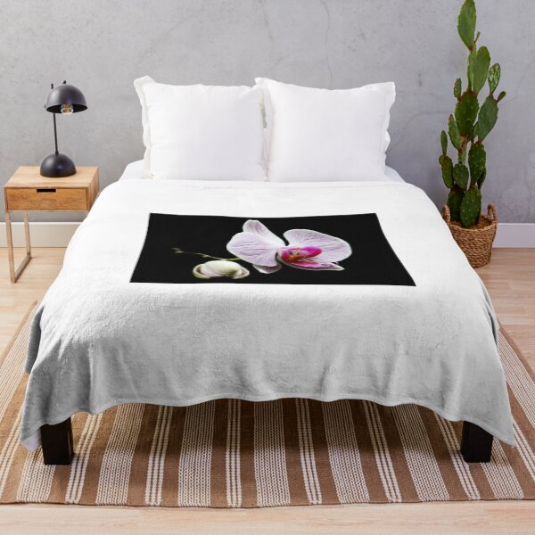 Aperçu de l'œuvre Orchid créée et vendue par AnnDixon.