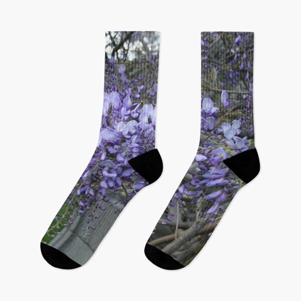 Item preview, Wisteria designed and sold by AnnDixon.