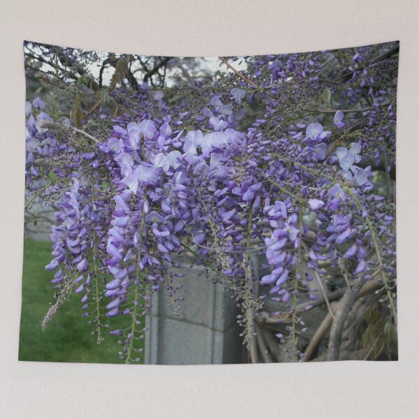 Item preview, Wisteria designed and sold by AnnDixon.