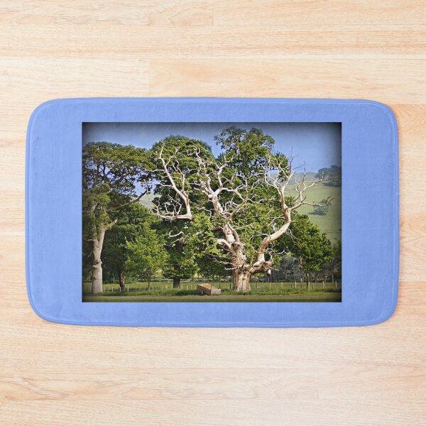 Artikelvorschau, Der Blitzbaum entworfen und verkauft von Sunset Photography by Andy Cooper.