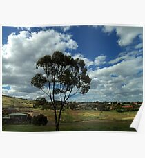 my suburb Poster