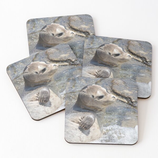 Item preview, Seal Pup designed and sold by LaurenTucker.