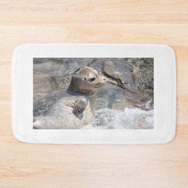 Item preview, Seal Pup designed and sold by LaurenTucker.