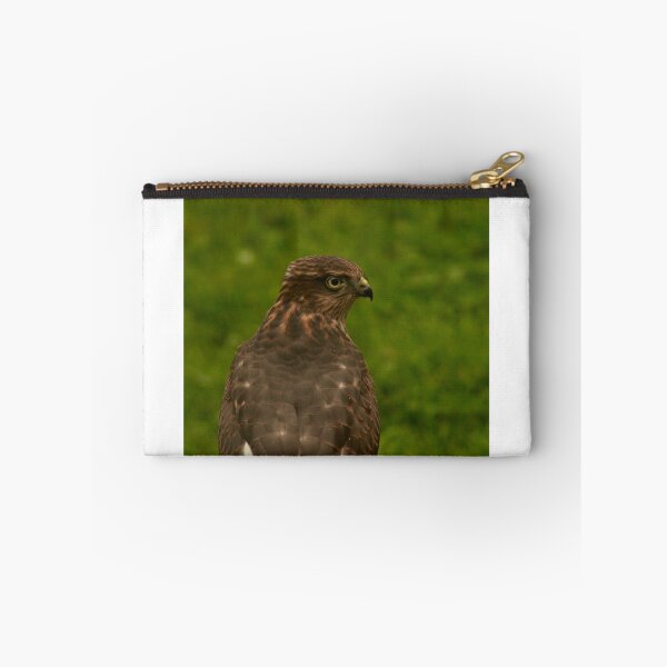 Item preview, Sparrowhawk  designed and sold by David Michael Booth.