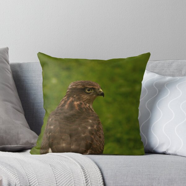 Item preview, Sparrowhawk  designed and sold by David Michael Booth.