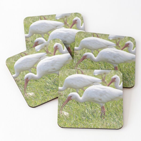 Item preview, White Faced Ibis designed and sold by LaurenTucker.