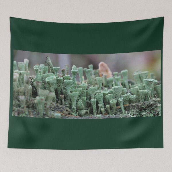 Item preview, Chimneys designed and sold by cuprum.