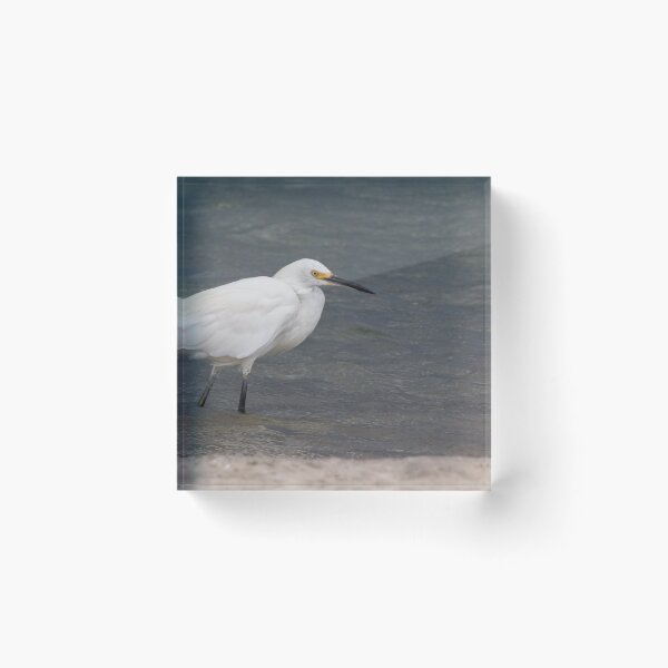 Item preview, Snowy Egret designed and sold by LaurenTucker.