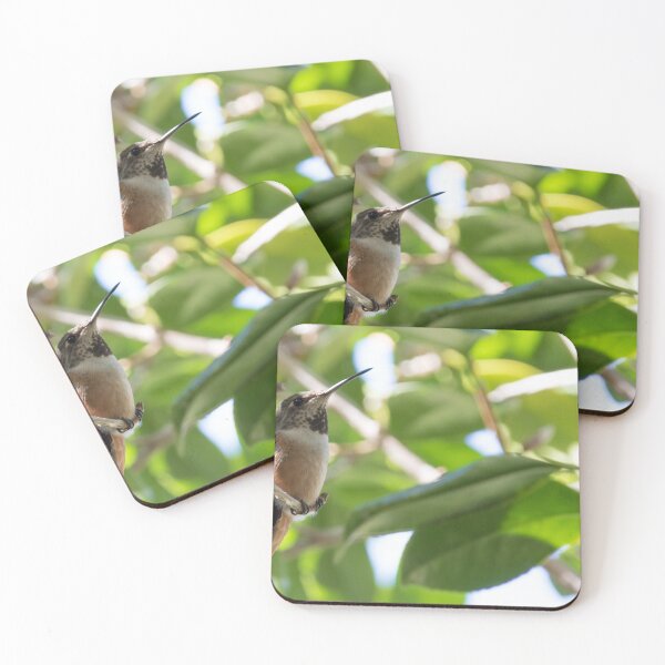 Item preview, Allen's Hummingbird designed and sold by LaurenTucker.