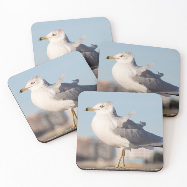 Item preview, Ring Billed Gull designed and sold by LaurenTucker.