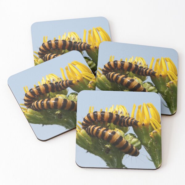 Item preview, Cinnabar moth caterpillar designed and sold by cuprum.