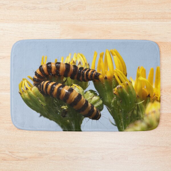 Item preview, Cinnabar moth caterpillar designed and sold by cuprum.