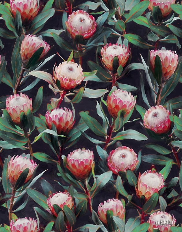 "Evening Proteas - Pink on Charcoal" by micklyn | Redbubble