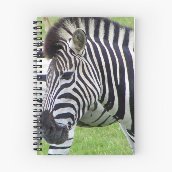 Item preview, Black & white designed and sold by amylw1.