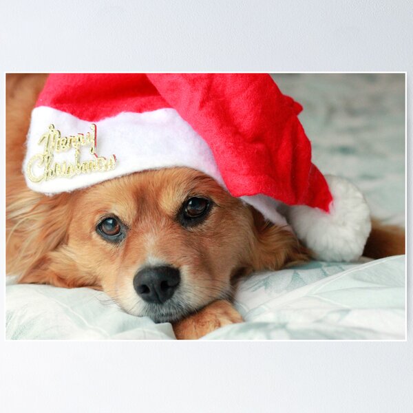 Item preview, Merry Christmas! designed and sold by Sangeeta.