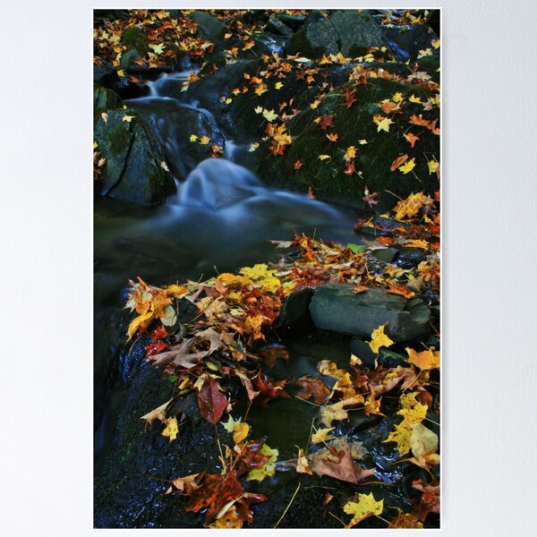 Item preview, Vermont Color designed and sold by chphoto188.