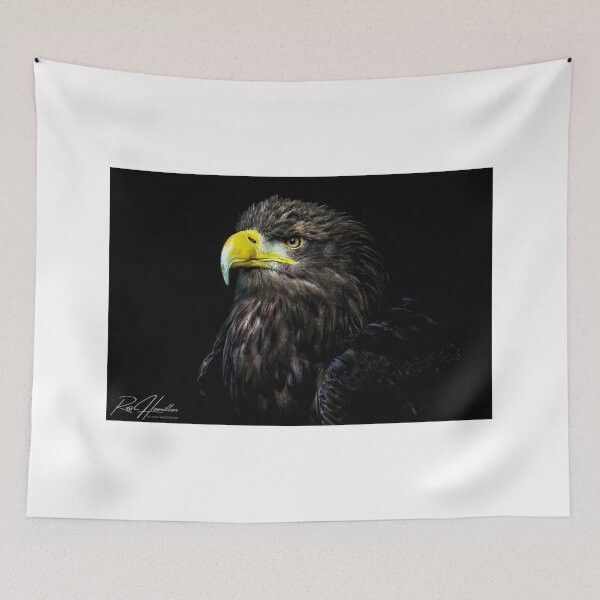 Item preview, White tailed Sea eagle designed and sold by Rosscoe1985.