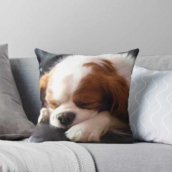 Item preview, Dog napping designed and sold by amylw1.