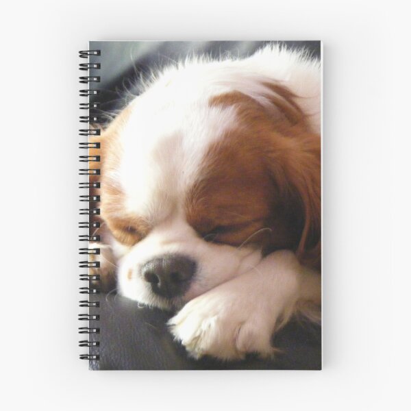 Item preview, Dog napping designed and sold by amylw1.
