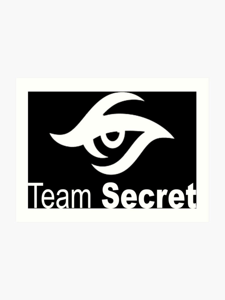 Team Secret Collector Items Dota 2 Art Print