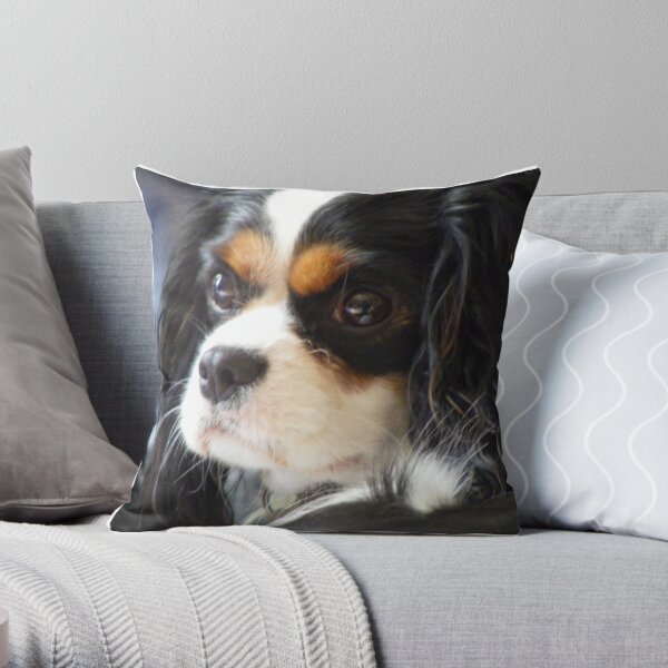 Poser!!! Throw Pillow