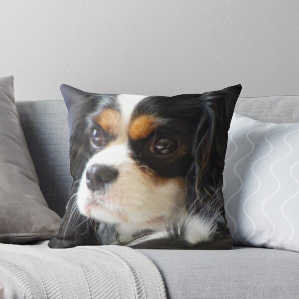 Item preview, Poser!!! designed and sold by amylw1.