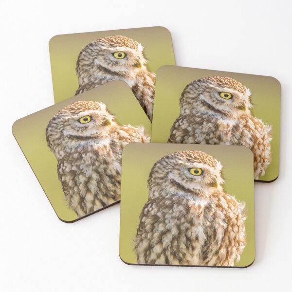Item preview, Little owl  designed and sold by Rosscoe1985.