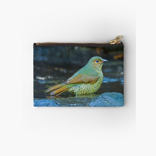 Item preview, Juvenile Satin Bower Bird designed and sold by bidkev1.