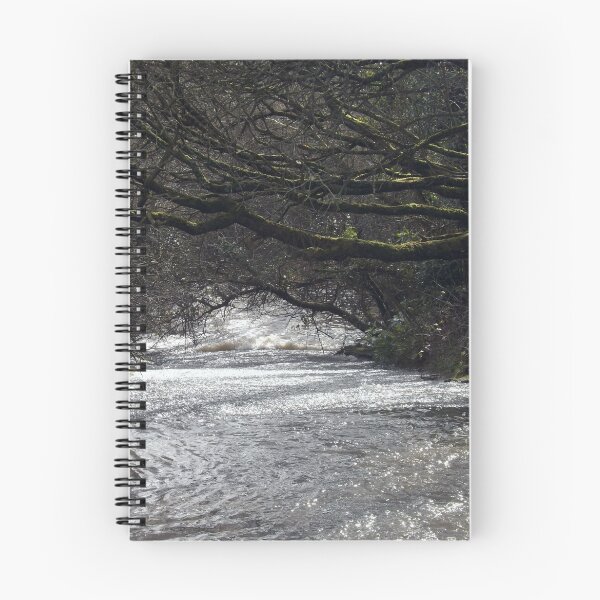 Item preview, Just down from Eller Beck at Harrington Nature reserve designed and sold by amylw1.