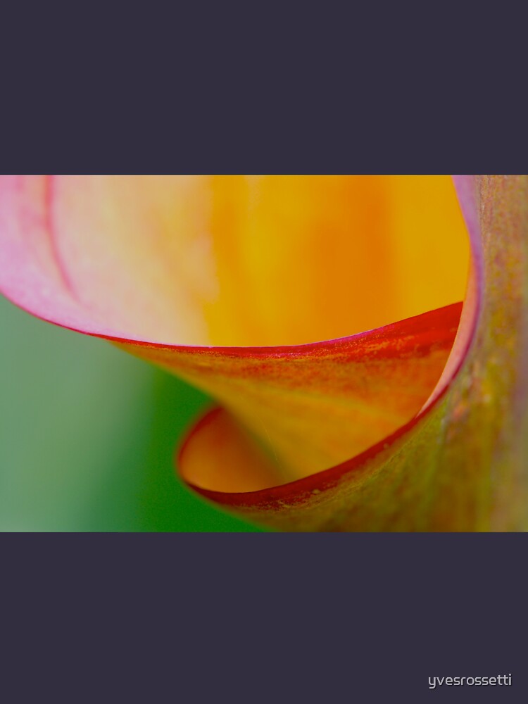 colour spiral by yvesrossetti