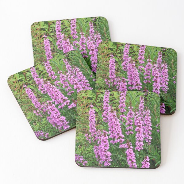 Item preview, wildflower Lythrum salicaria  designed and sold by mrivserg.
