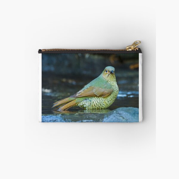 Item preview, Juvenile Satin Bower Bird designed and sold by bidkev1.
