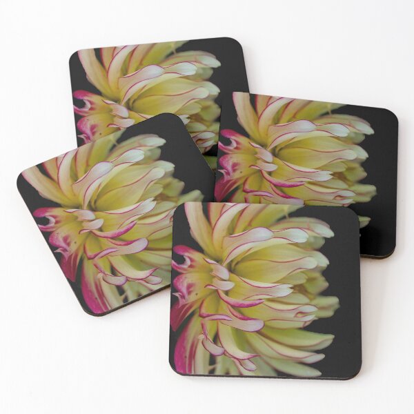 Item preview, Yellow and pink Chrysanthamum designed and sold by Jennifer Michalski.