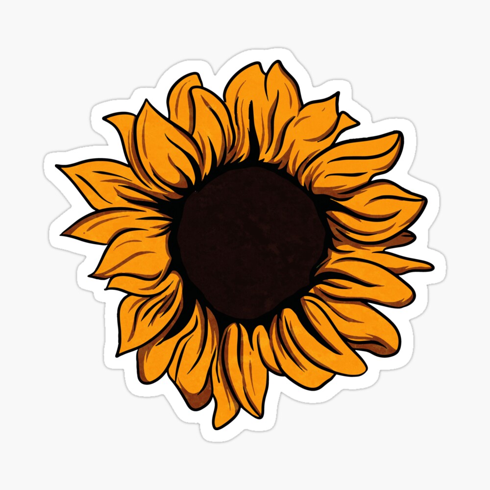 Sunflower seed and flower drawing set hand Vector Image