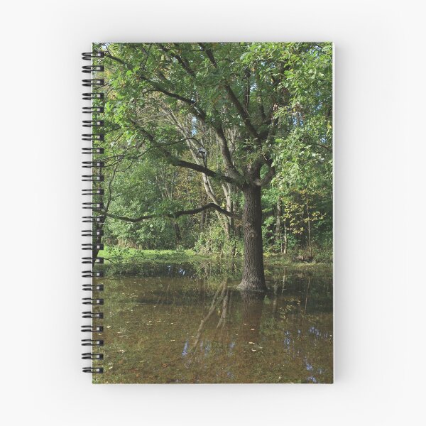 Item preview, flooded forest designed and sold by mrivserg.