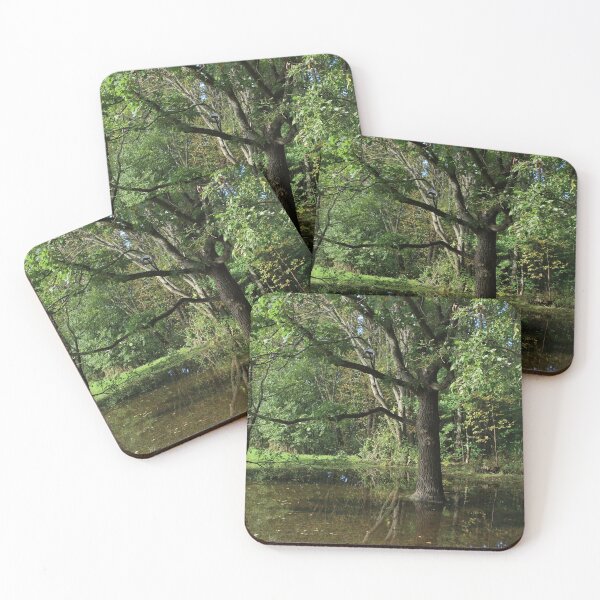 Item preview, flooded forest designed and sold by mrivserg.