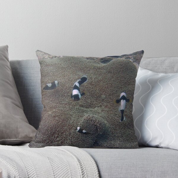 Item preview, Saddleback Clownfish and Carpet Anemone designed and sold by Mike Ashley.