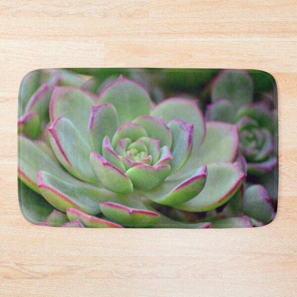 Item preview, Echeveria Pink Edge designed and sold by imaginethis.
