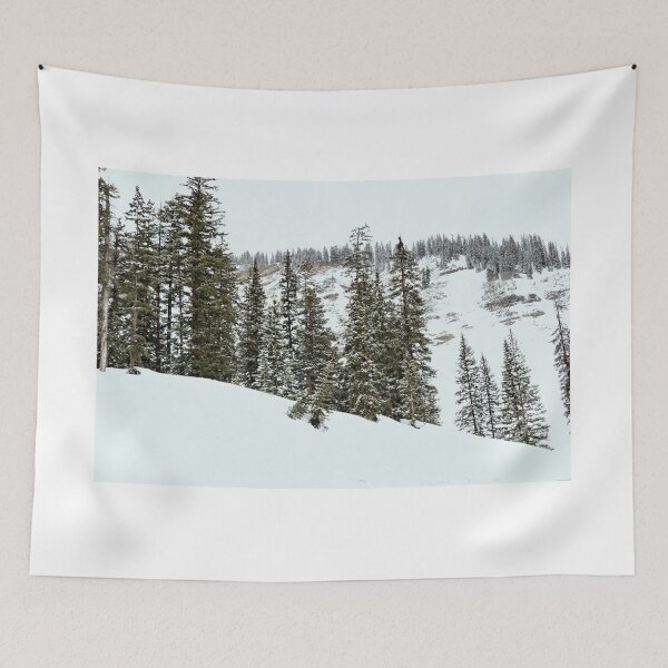 Item preview, Top Of Coal Bank Pass 2 - Colorado designed and sold by jtrommer.